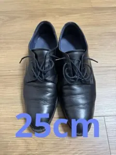 アシックス ランウォーク Asics Runwalk 25cm 2E