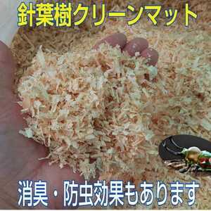 ヘラクレスの成虫管理にどうぞ！爽やかな香りの針葉樹クリーンマット☆ケース内が明るくなり生体が目立つ☆ダニ、コバエも湧かなくなります