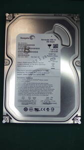 Seagate HDD SATA ST3250310AS 250GB 動作確認済 送料無料(250040) 