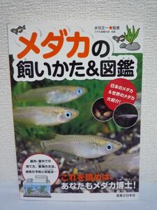 メダカの飼いかた&図鑑★水谷正一◆絶滅危惧種 病気 繁殖 対処法