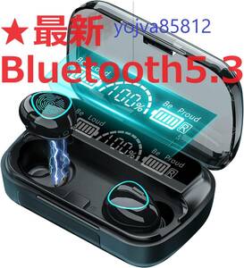 2024最新型 ワイヤレスイヤホン Bluetooth 5.3 Hi-Fi イヤホン 高品質 新品