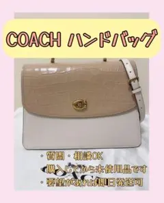 当日発送可※要相談【送料無料】COACH ハンドバッグ　2way クロコ調レザー