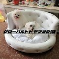 新品入荷 ベッド プリンセス 小型犬用 犬 ラグジュアリー ペットソファー