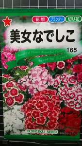 ３袋セット 美女 なでしこ 撫子 種 郵便は送料無料