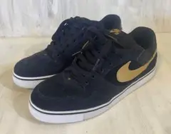 NIKE SB ポールロドリゲス　黒金