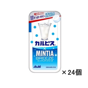 アサヒグループ食品 カルピス × ミンティアブリーズ 30粒×24個