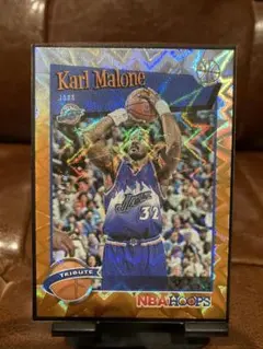 NBA カード　PANINI パニーニ　2019-20 カール・マローン