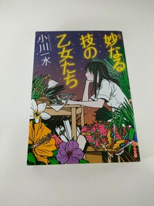 妙なる技の乙女たち （ポプラ文庫　お６－１） 小川一水／〔著〕