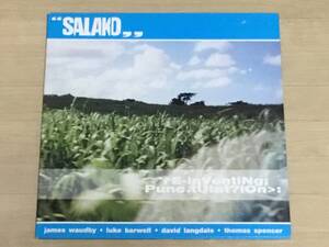 Salako - Re-inventing Punctuation LP