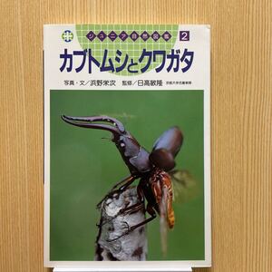 カブトムシとクワガタ