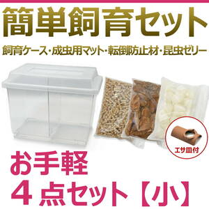 【RK】簡単飼育セット　お手軽4点セット　小ケース【すぐに飼育できる！】カブトムシ・クワガタ　飼育初心者に！　お得で便利なセット！