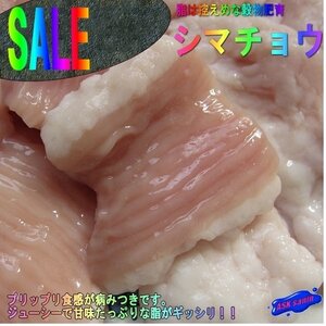 5本、脂控えめな「シマ腸 1kg」焼肉・BBQに、プロ用　穀物肥育／国産　もちろんモツ鍋最高！！