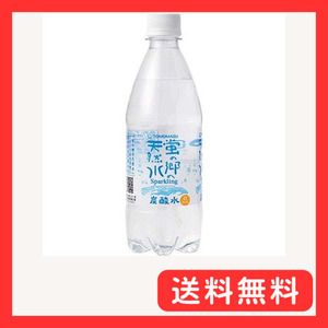 友桝飲料 蛍の郷の天然水 スパークリング 500ml×24本