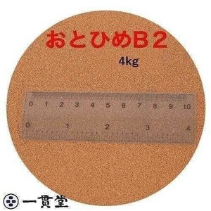 おとひめB2 2kg×2袋(4kg) (0.36～0.62mm) メダカ、金魚、熱帯魚の餌に 日清丸紅飼料 宅急便配送