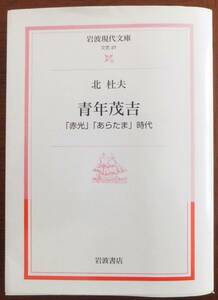 青年茂吉　「赤光」「あらたま」時代　2011年再版　岩波現代文庫