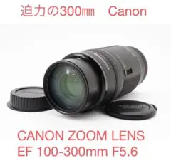 ズームレンズ/キヤノンCanon EF100-300㎜