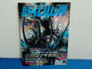 No.13 ビークワ　月刊むし1月増刊号 カルコソマ大特集！！