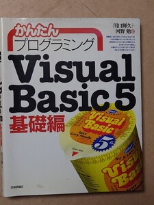 かんたんプログラミング VisualBasic5 基礎編