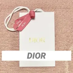 DIOR ディオール　ミニサイズ　ショッパー