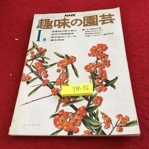 Y38-316 NHK 趣味の園芸 1月号 昭和50年発行 落葉樹の寄せ植え 海外の家庭園芸 植木鉢のいろいろ 園芸作業 盆栽のたのしみ など