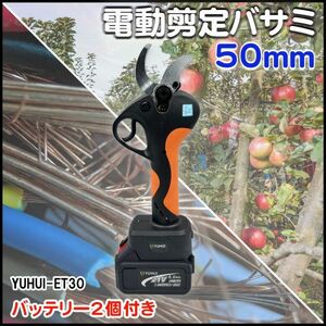 電動ハサミ 充電式 切断直径50mm 庭木/枝切り/果樹用/電線/ケーブルなど バッテリー2個&替刃2セット