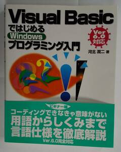 Visual Basic ではじめる Windows プログラミング入門 Ver 6.0対応　河北潤二著　技術評論社