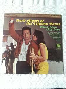 LP　Herb Alpert & The Tijuana Brass　What Now My Love　ハーブ・アルパート　米盤 ?