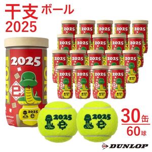 【新品】 Dunlop　ダンロップ フォート 干支ボール 2025年「巳」　1箱60球