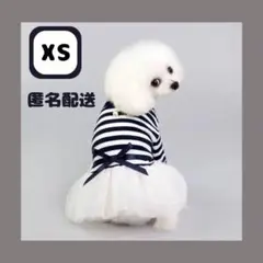 犬服　女の子　わんこ　ドッグウェア　ボーダー　リボン