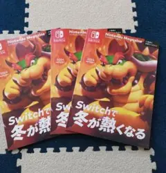 Nintendo Magazine 2024 Winter 3冊セット