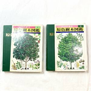 ＊原色樹木図鑑 I・Ⅱ 2冊まとめ コンパクト版4・5 北隆館 一般植物 双子葉植物 合弁花亜 単子葉植物 裸子植物 しだ植物 花 芽 函付き