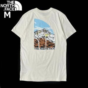 1円～!売切!【正規新品】THE NORTH FACE◆S/S GRAPHIC INJECTION TEE 半袖 Tシャツ US限定 ビッグロゴ グラフィック 上質(M)白 180902-15