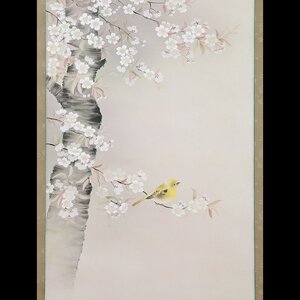 【五】稲葉桑文 『桜』 真作 絹本 彩色 掛軸 太巻 共箱