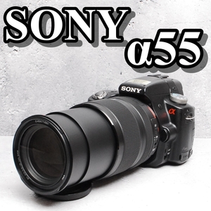 【訳アリ特価！！初心者セット】SONY ソニー α55 デジタル一眼レフカメラ レンズセット