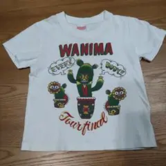 WANIMA Tシャツ 110cm