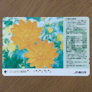 【使用済】イオカード iO-CARD フクジュソウ 福寿草 JR東日本