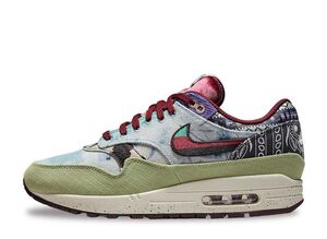 Concepts Nike Air Max 1 "Mellow" 26cm DN1803-300