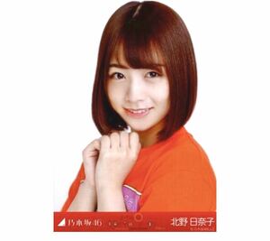 217 乃木坂46 生写真 公式グッズ 1枚　北野日奈子　ヨリ　ライブT 乃木坂46 真夏の全国ツアー2017 宮城ver. 会場限定　限定品