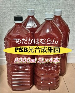 【8000ml】光合成細菌PSB【めだか_はむらん】psb メダカ 水質浄化　農業　土壌改良　うどんこ病防止　無農薬　