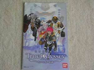 【PS2】ガンダム トゥルー・オデッセイ ～失われしGの伝説～ 説明書のみ