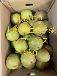 訳あり！山形県産ラフランス 5kg