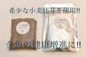 低水温対応金魚のエサ　真空パックミシロ彩金魚胚芽育成用SS　沈下性　550ｇ　らんちゅう・土佐金・オランダ・東錦にも最適な金魚の餌