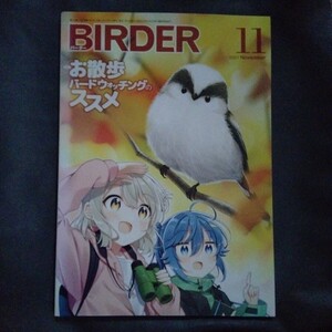 /7.01/ BIRDER(バーダー)2021年11月号 お散歩バードウォッチングのススメ 241101