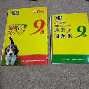 漢検　漢字検定9級　ワイド版　漢字学習ステップ　中古品鉛筆書込あり　29年過去問未使用