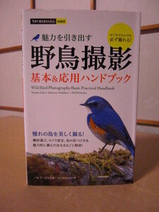 ★今すぐ使えるかんたん mini◇野鳥撮影　魅力を引き出す　基本＆応用ハンドブック★