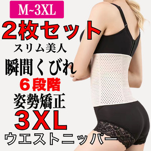 2枚セット レディース ウエストニッパー 姿勢矯正 ダイエット 6段 ベージュ 3XL