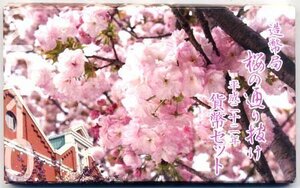 【寺島コイン】　04-275　大阪　桜の通り抜け　2010/平成22年