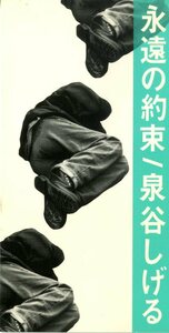 D00054879/【即決/送料無料】3インチCD/泉谷しげる「永遠の約束(1995年)」