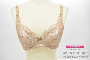 未使用 新品 B67.5 ブラウン 北陸エステアール 下垂気味で広がり気味用 体型分析ブラ II [補正下着][日本製][通販生活][ブラジャー]