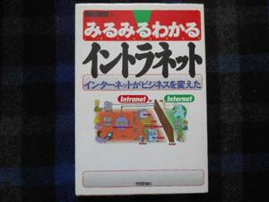 ★　みるみるわかる　イントラネット　飯田英明[著]　　タカ73